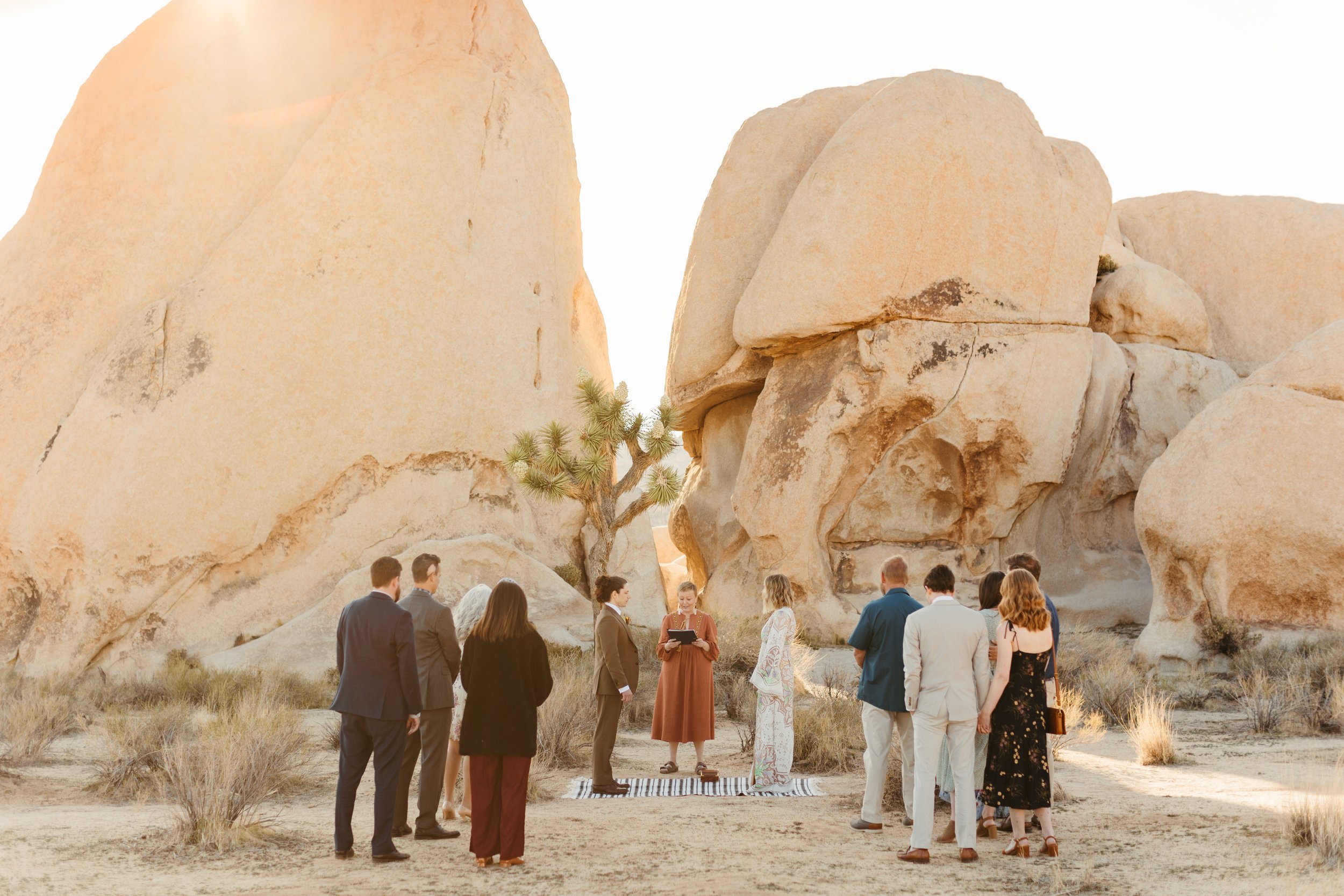 Getting Married in Joshua Tree National Park | Your All-Inclusive Guide